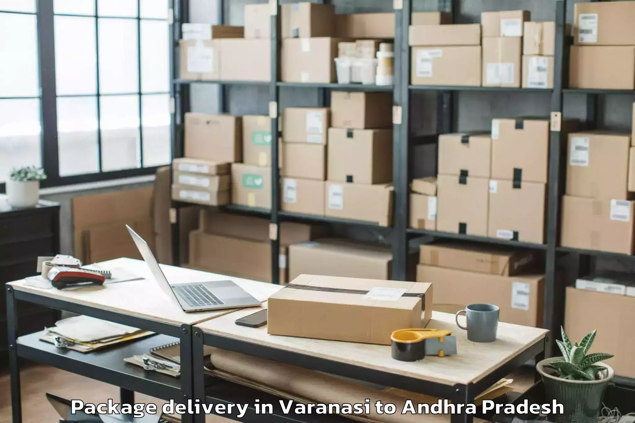 Quality Varanasi to Patha Gannavaram Package Delivery